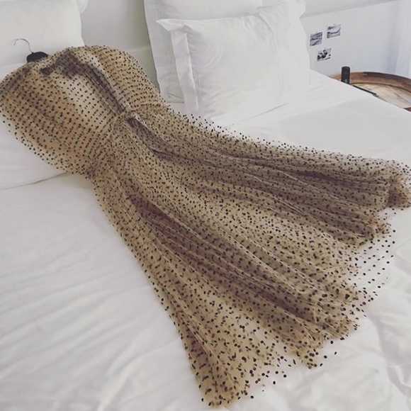 Meet your Posher, Tara Dactyl - Picture 2 of 5